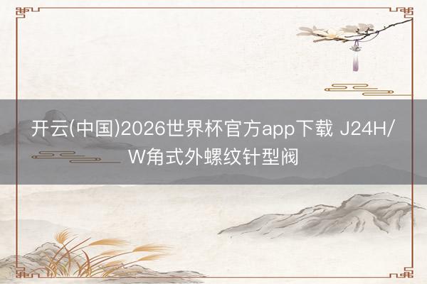 开云(中国)2026世界杯官方app下载 J24H/W角式外螺纹针型阀