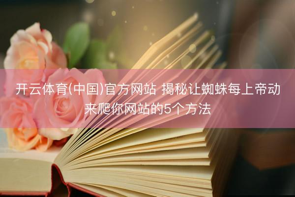 开云体育(中国)官方网站 揭秘让蜘蛛每上帝动来爬你网站的5个方法
