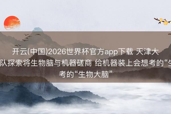 开云(中国)2026世界杯官方app下载 天津大学科研团队探索将生物脑与机器磋商 给机器装上会想考的“生物大脑”