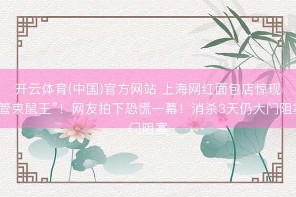 开云体育(中国)官方网站 上海网红面包店惊现“管束鼠王”！网友拍下恐慌一幕！消杀3天仍大门阻塞