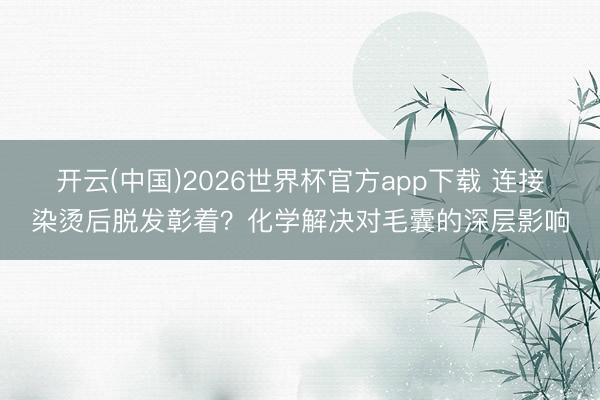 开云(中国)2026世界杯官方app下载 连接染烫后脱发彰着？化学解决对毛囊的深层影响