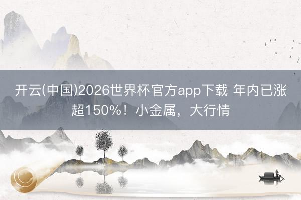 开云(中国)2026世界杯官方app下载 年内已涨超150%！小金属，大行情