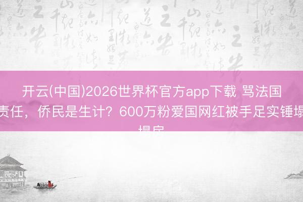 开云(中国)2026世界杯官方app下载 骂法国事责任，侨民是生计？600万粉爱国网红被手足实锤塌房