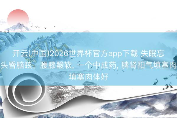 开云(中国)2026世界杯官方app下载 失眠忘记、头昏脑眩、腰膝酸软, 一个中成药, 脾肾阳气填塞肉体好