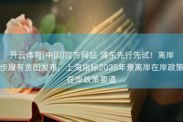 开云体育(中国)官方网站 浦东先行先试！离岸金融步履有贪图发布，上海指标2035年景离岸在岸政策要道